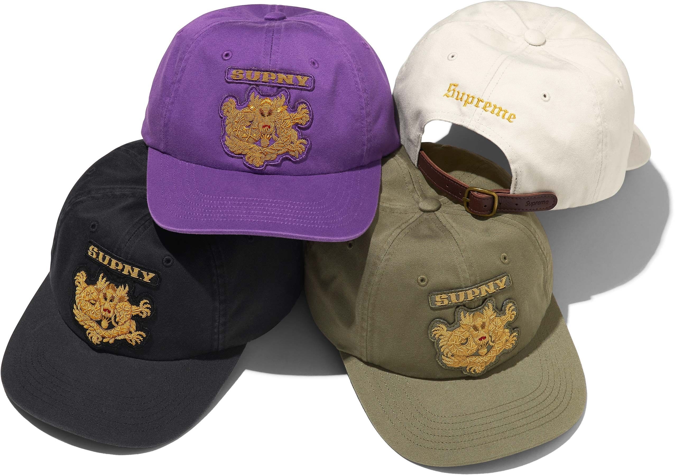 Bullion Dragon 6-Panel